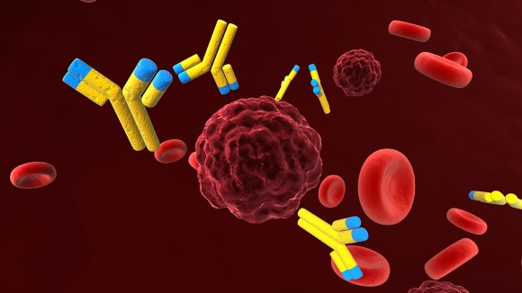 Immunology picture