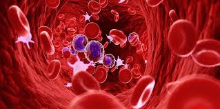 Hematology picture